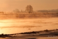 072_Biebrza - marzec 2013